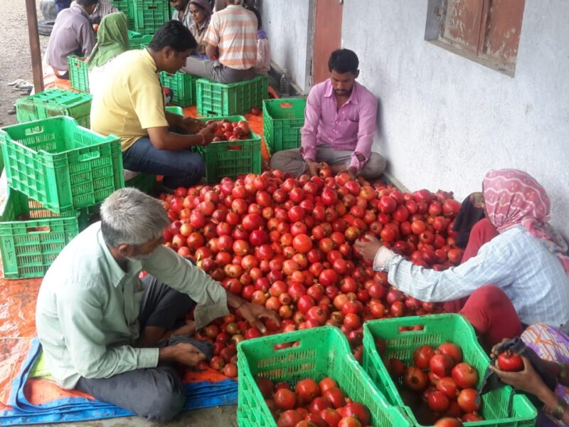 Varga1 Agriculture Land For Sale