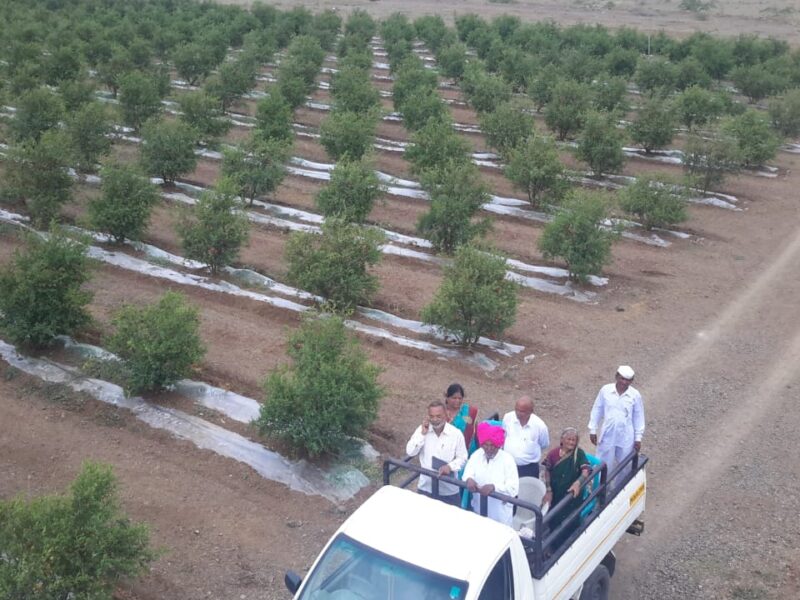 Varga1 Agriculture Land For Sale