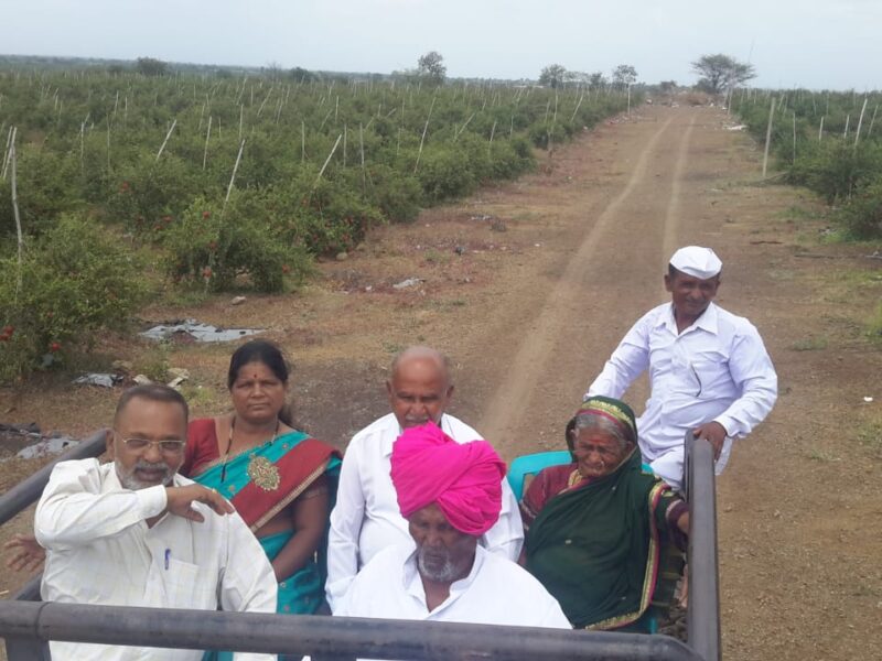 Varga1 Agriculture Land For Sale