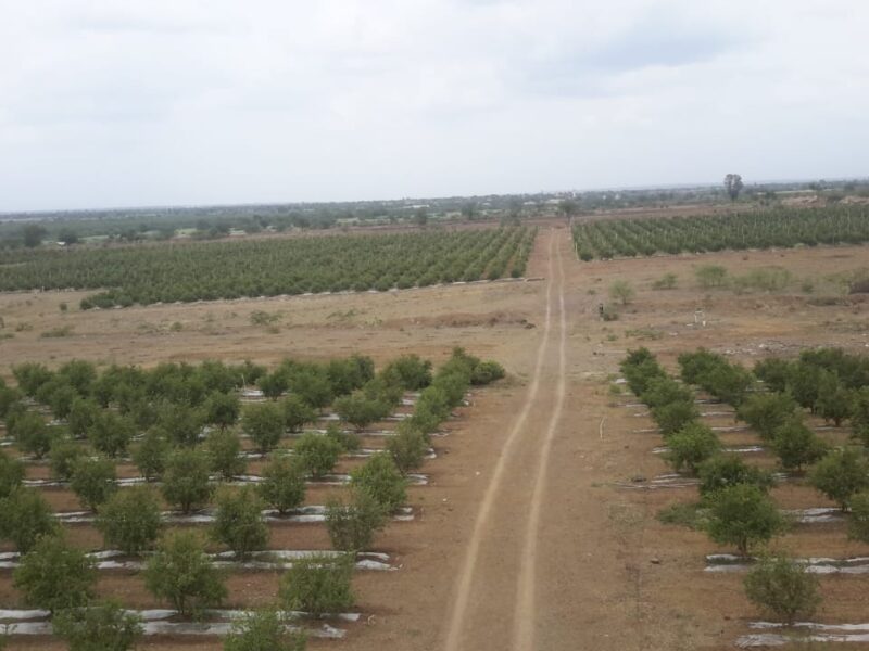 Varga1 Agriculture Land For Sale