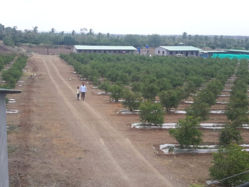 Varga1 Agriculture Land For Sale