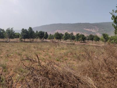 Rent agriculture girayath land