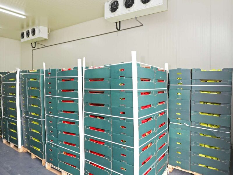 Commercial Cold storage factory sale